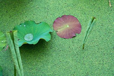 任天堂为Switch 2公布两场直播 将有Switch 2游戏实机